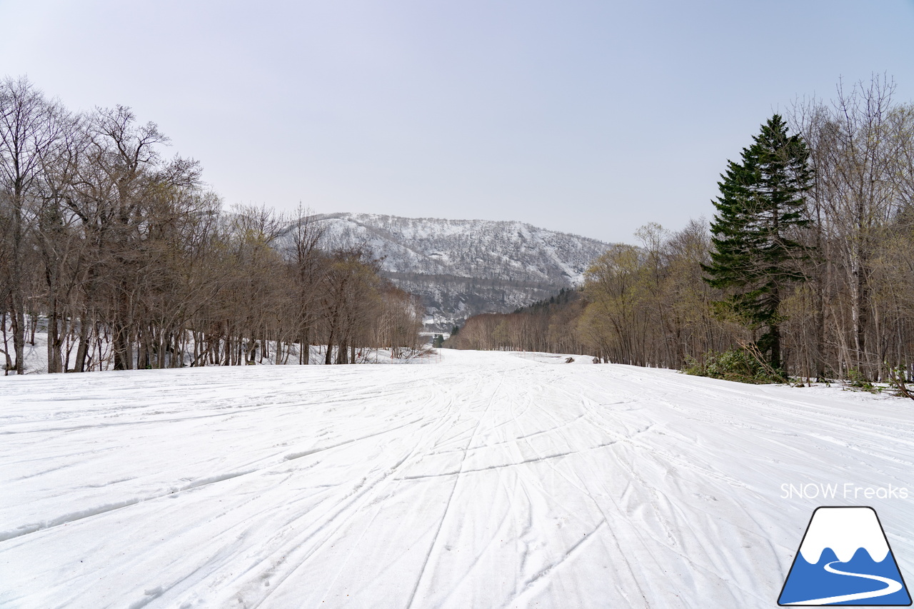 キロロリゾート｜初夏の陽気に耐えて、何とかGWまで持ってくれたキロロの雪…。さぁ、キロロゴンドラに乗って、山頂から山麓まで続く全長4,000ｍ超のロングランを楽しみましょう！